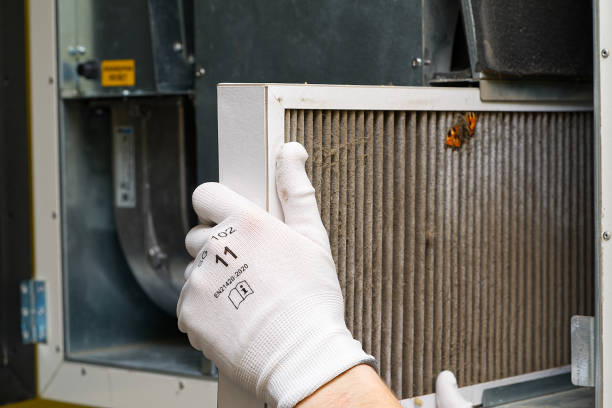 Air Duct Mold Removal in Lazy Mountain, AK