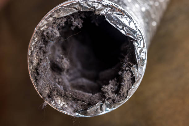 Best Air Duct Cleaning Near Me  in Lazy Mountain, AK