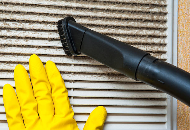 Best Residential Air Duct Cleaning  in Lazy Mountain, AK